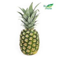 ANANAS ŚWIEŻY BIO (około 1,20 kg)