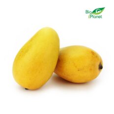 MANGO ATAULFO ŚWIEŻE BIO (około 0,22 kg)