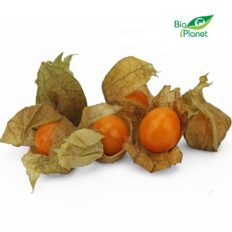 MIECHUNKA ŚWIEŻA BIO (około 0,10 kg)